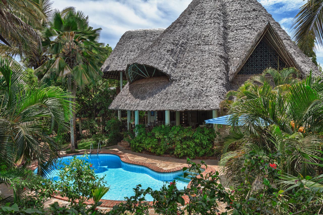 Thatched villa roof rising above the pool and palms